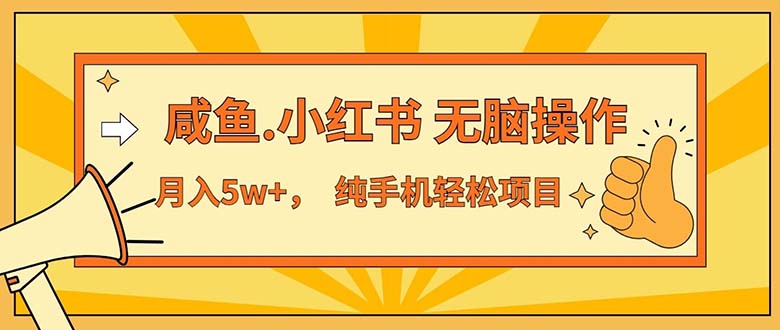 （11524期）2024最赚钱的项目，咸鱼，小红书无脑操作，每单利润500+，轻松月入5万+…-聊项目