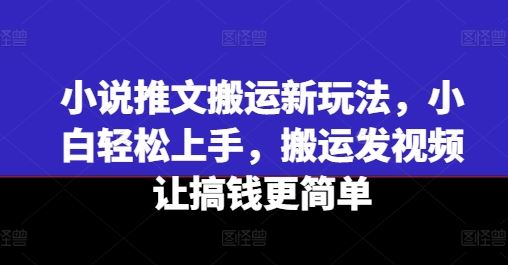 小说推文搬运新玩法，小白轻松上手，搬运发视频让搞钱更简单-聊项目