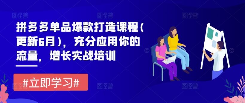 拼多多单品爆款打造课程(更新6月)，充分应用你的流量，增长实战培训-聊项目