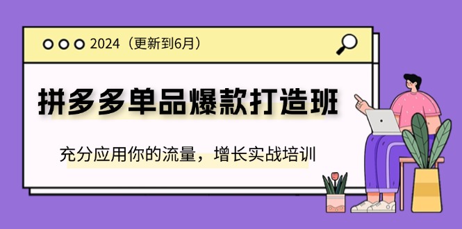 （11556期）2024拼多多-单品爆款打造班(更新6月)，充分应用你的流量，增长实战培训-聊项目