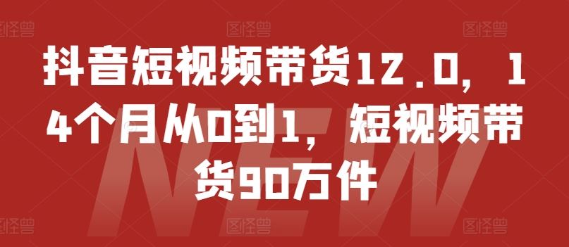 抖音短视频带货12.0，14个月从0到1，短视频带货90万件-聊项目