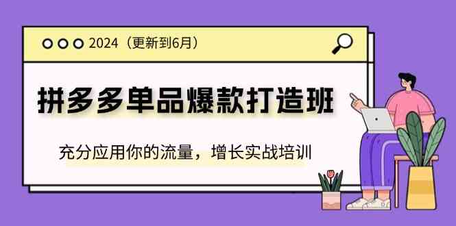 2024拼多多单品爆款打造班，充分应用你的流量，增长实战培训(更新6月)-聊项目