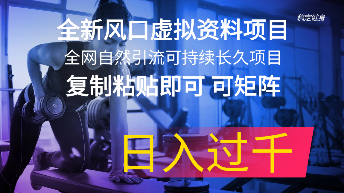 （11587期）全新风口虚拟资料项目 全网自然引流可持续长久项目 复制粘贴即可可矩阵…-聊项目