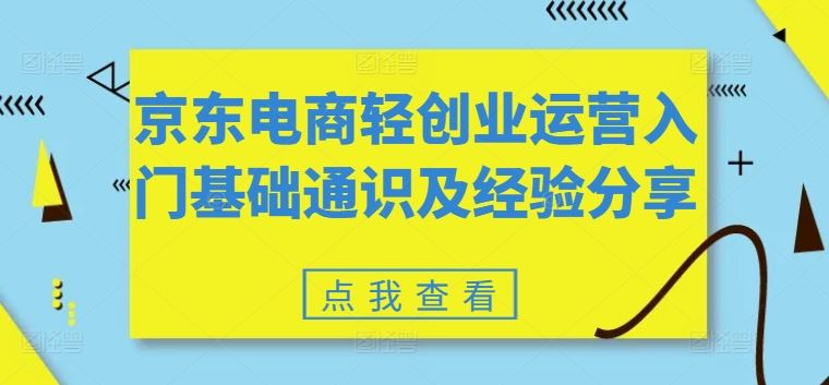 京东电商轻创业运营入门基础通识及经验分享-聊项目