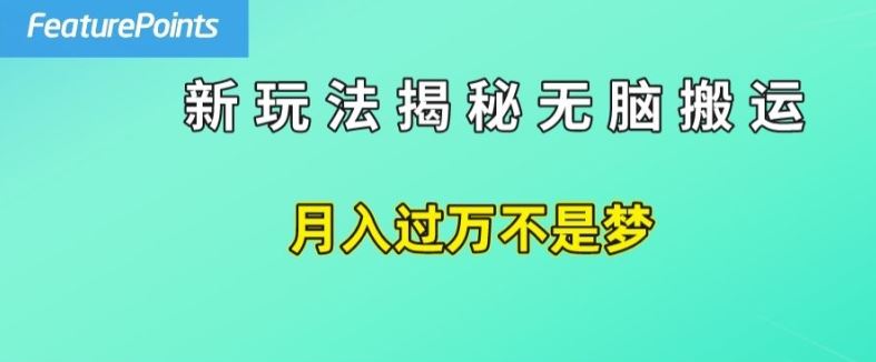 简单操作，每天50美元收入，搬运就是赚钱的秘诀【揭秘】-聊项目