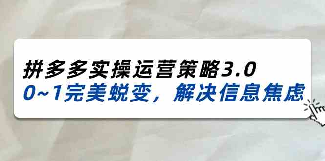 2024-2025拼多多实操运营策略3.0，0~1完美蜕变，解决信息焦虑（38节）-聊项目