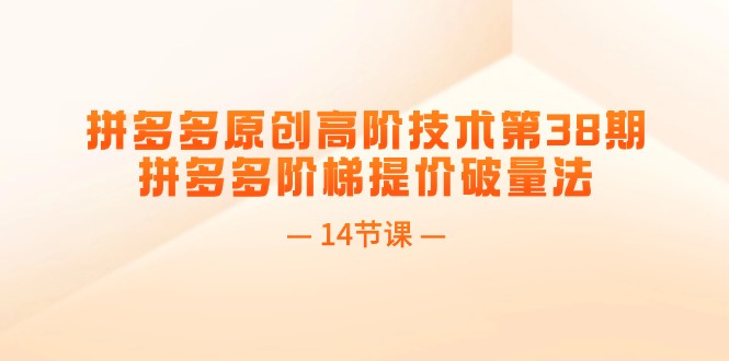 （11704期）拼多多原创高阶技术第38期，拼多多阶梯提价破量法（14节课）-聊项目