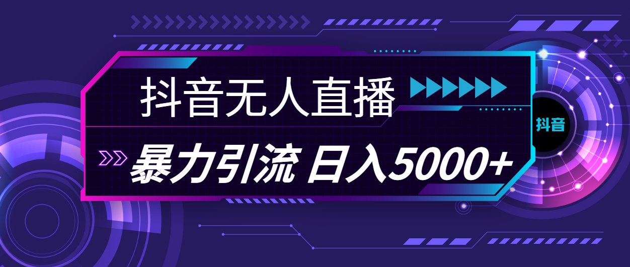 （11709期）抖音无人直播，暴利引流，日入5000+-聊项目