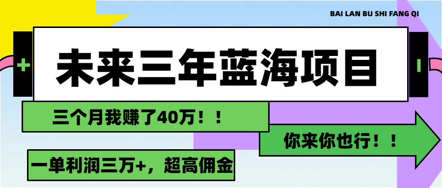 （11716期）未来三年，蓝海赛道，月入3万+-聊项目