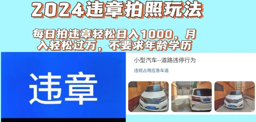 （11743期）2024违章拍照新玩法，推广躺赚+拍照赚钱双模式，日入1000+-聊项目