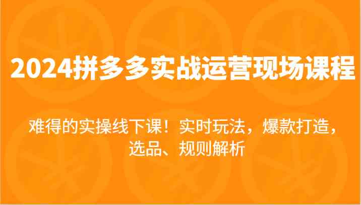 2024拼多多实战运营现场课，实时玩法，爆款打造，选品、规则解析，难得的实操线下课！-聊项目