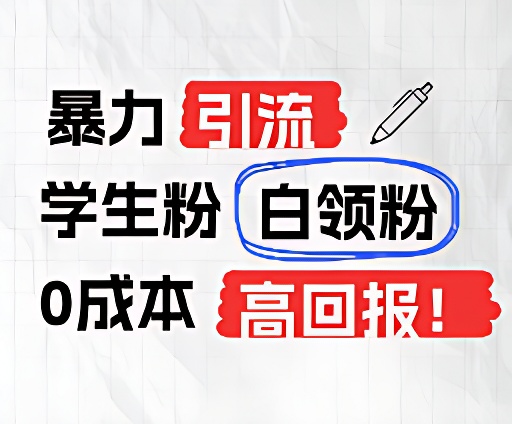 暴力引流学生粉白领粉，吊打以往垃圾玩法，0成本，高回报-聊项目