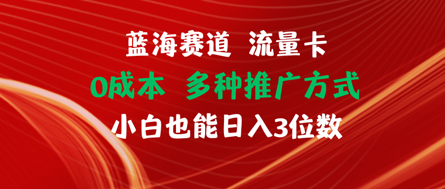 （11768期）蓝海赛道 流量卡 0成本 小白也能日入三位数-聊项目