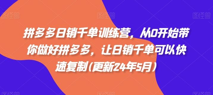 拼多多日销千单训练营，从0开始带你做好拼多多，让日销千单可以快速复制(更新24年7月)-聊项目