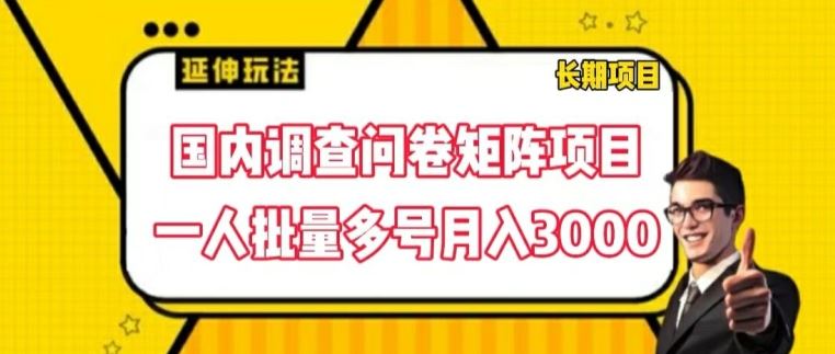 国内调查问卷矩阵项目，一人批量多号月入3000【揭秘】-聊项目