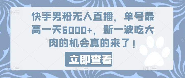 快手男粉无人直播，单号最高一天6000+，新一波吃大肉的机会真的来了-聊项目