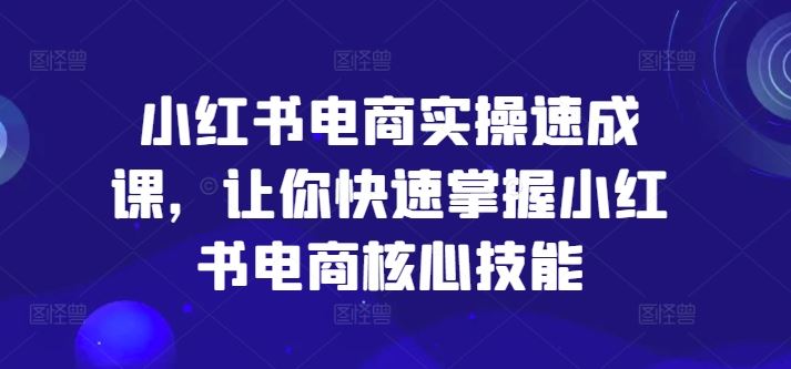 小红书电商实操速成课，让你快速掌握小红书电商核心技能-聊项目