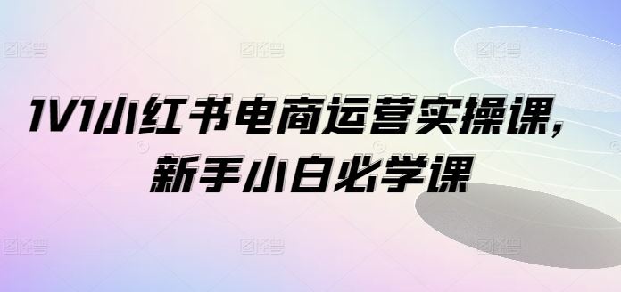 1V1小红书电商运营实操课，新手小白必学课-聊项目