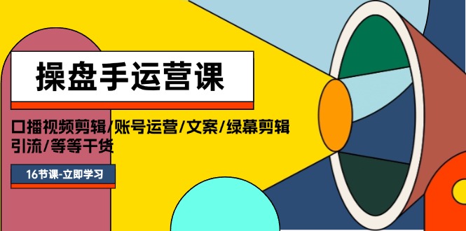 （11803期）操盘手运营课程：口播视频剪辑/账号运营/文案/绿幕剪辑/引流/干货/16节-聊项目