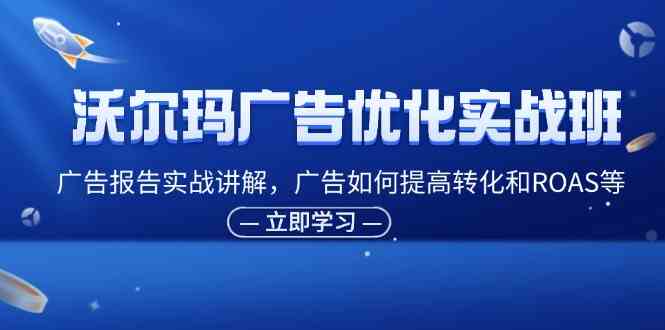 沃尔玛广告优化实战班，广告报告实战讲解，广告如何提高转化和ROAS等-聊项目