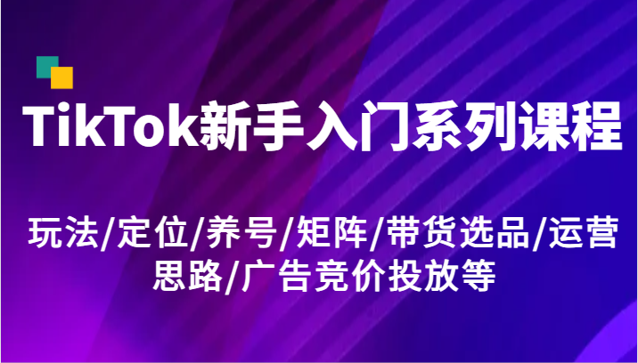 TikTok新手入门系列课程，玩法/定位/养号/矩阵/带货选品/运营思路/广告竞价投放等-聊项目