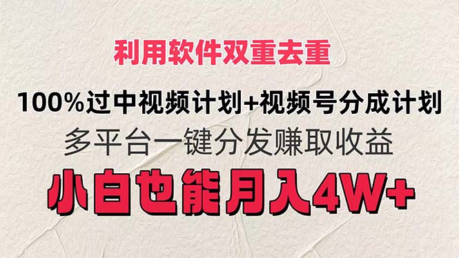 （11862期）利用软件双重去重，100%过中视频+视频号分成计划小白也可以月入4W+-聊项目