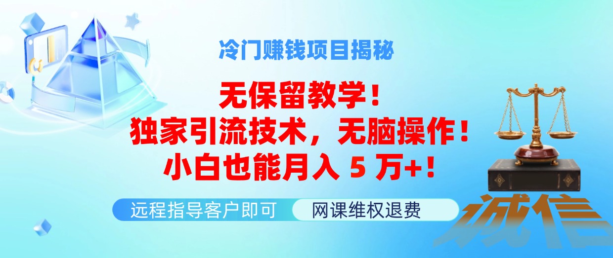 （11864期）冷门赚钱项目无保留教学！独家引流技术，无脑操作！小白也能月入5万+！-聊项目