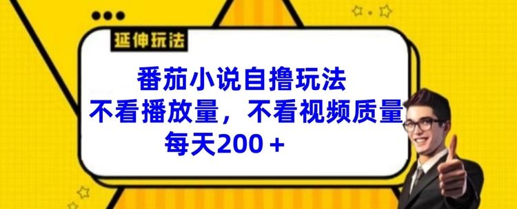 番茄小说自撸玩法，不看播放量，不看视频质量，每天200+【揭秘】-聊项目