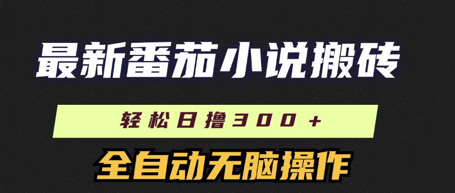 （11904期）最新番茄小说搬砖，日撸300＋！全自动操作，可矩阵放大-聊项目