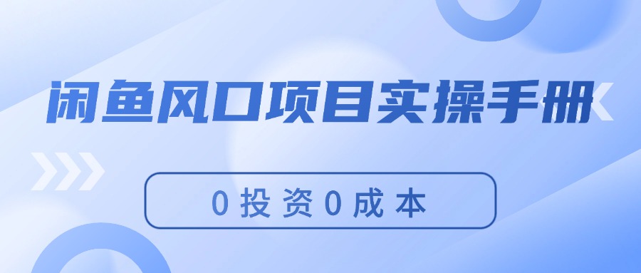 （11923期）闲鱼风口项目实操手册，0投资0成本，让你做到，月入过万，新手可做-聊项目