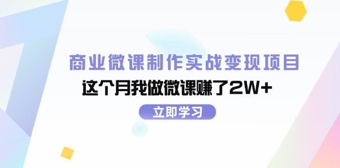 （11959期）商业微课制作实战变现项目，这个月我做微课赚了2W+-聊项目