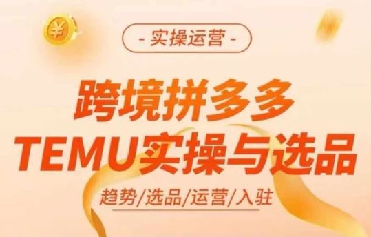 跨境拼多多TEMU实操与选品，多多temu跨境选品运营实操-聊项目