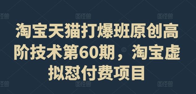 淘宝天猫打爆班原创高阶技术第60期，淘宝虚拟怼付费项目-聊项目