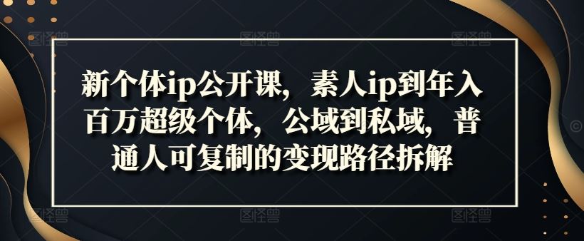 新个体ip公开课，素人ip到年入百万超级个体，公域到私域，普通人可复制的变现路径拆解-聊项目