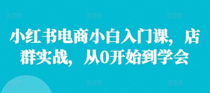 小红书电商小白入门课，店群实战，从0开始到学会-聊项目