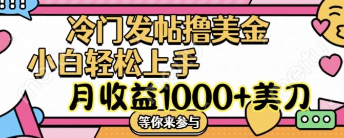 冷门发帖撸美金项目，月收益1000+美金，简单无脑，干就完了【揭秘】-聊项目