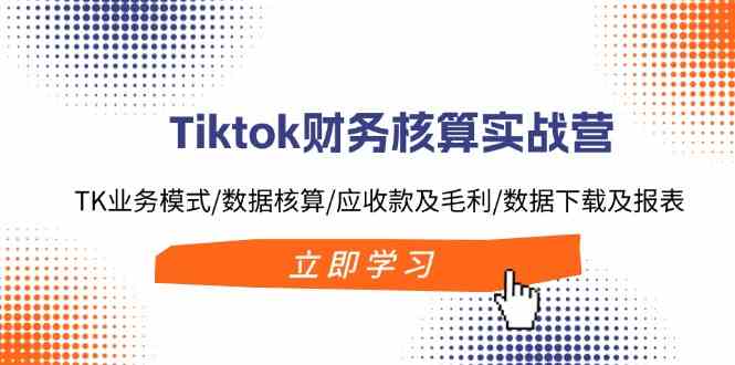 Tiktok财务核算实战营：TK业务模式/数据核算/应收款及毛利/数据下载及报表-聊项目