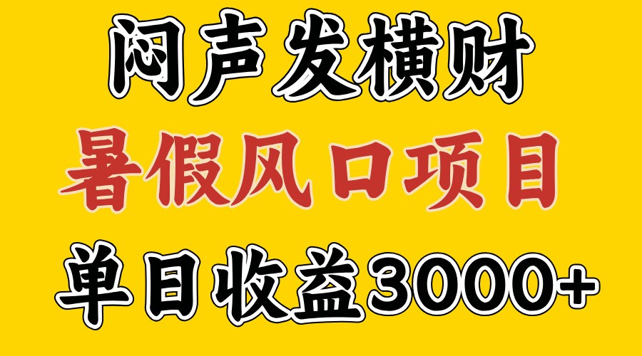 30天赚了7.5W 暑假风口项目，比较好学，2天左右上手-聊项目