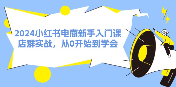 2024小红书电商新手入门课，店群实战，从0开始到学会（31节）-聊项目