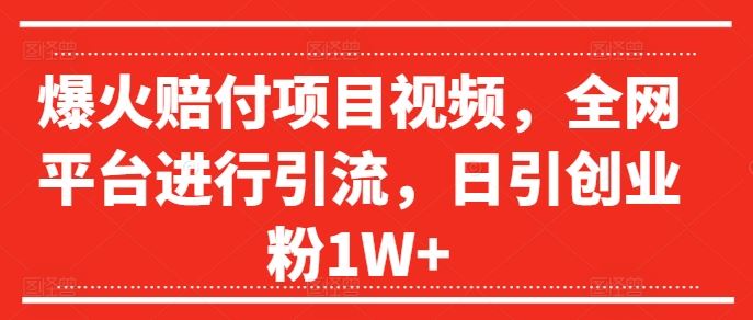 爆火赔付项目视频，全网平台进行引流，日引创业粉1W+【揭秘】-聊项目