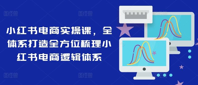 小红书电商实操课，全体系打造全方位梳理小红书电商逻辑体系-聊项目