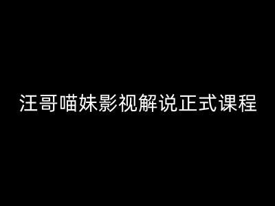 汪哥影视解说正式课程：剪映/PR教学/视解说剪辑5大黄金法则/全流程剪辑7把利器等等-聊项目