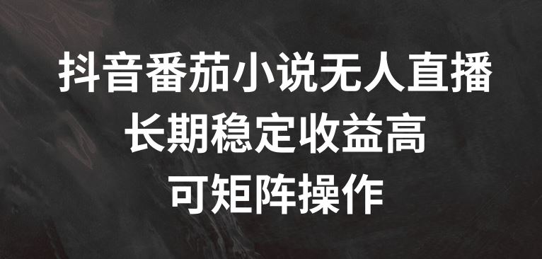 抖音番茄小说无人直播，长期稳定收益高，可矩阵操作【揭秘】-聊项目