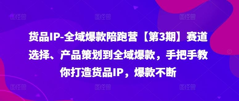 货品IP全域爆款陪跑营【第3期】赛道选择、产品策划到全域爆款，手把手教你打造货品IP，爆款不断-聊项目