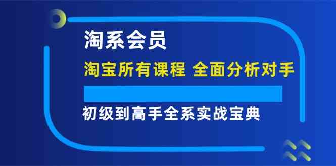 淘系会员初级到高手全系实战宝典【淘宝所有课程，全面分析对手】-聊项目