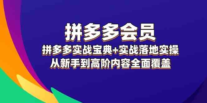 拼多多会员实战宝典+实战落地实操，从新手到高阶内容全面覆盖-聊项目