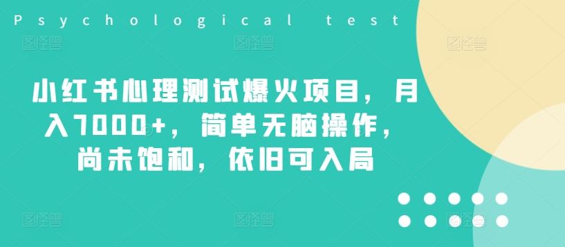 小红书心理测试爆火项目，月入7000+，简单无脑操作，尚未饱和，依旧可入局-聊项目