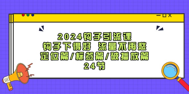 2024钩子引流课：钩子下得好流量不再愁，定位篇/标签篇/破播放篇/24节-聊项目