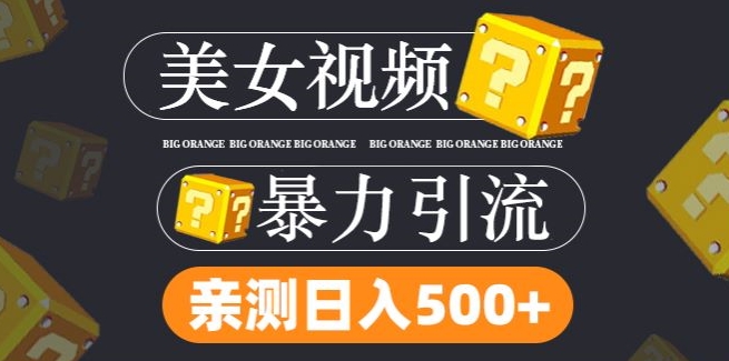 搬运tk美女视频全网分发，日引s粉300+，轻松变现，不限流量不封号-聊项目