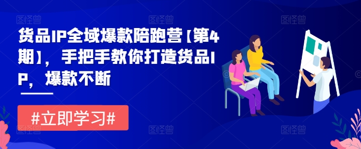 货品IP全域爆款陪跑营【第4期】，手把手教你打造货品IP，爆款不断-聊项目